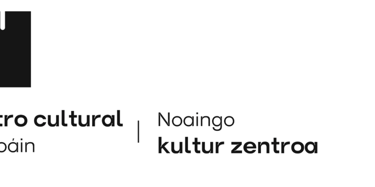 Proyecto Noain